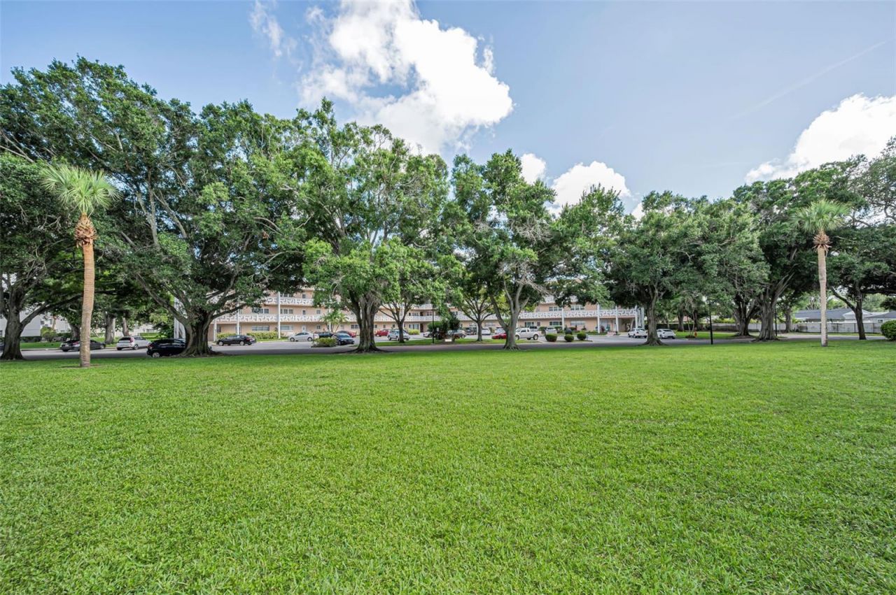 2384 Tahitian Lane, Unit 22, Clearwater, FL 33763 Photo