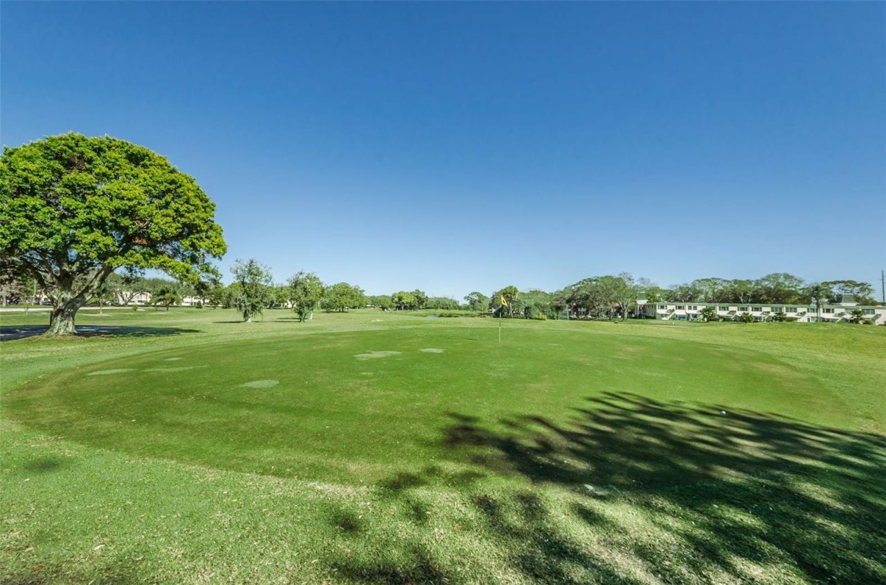 2384 Tahitian Lane, Unit 22, Clearwater, FL 33763 Photo