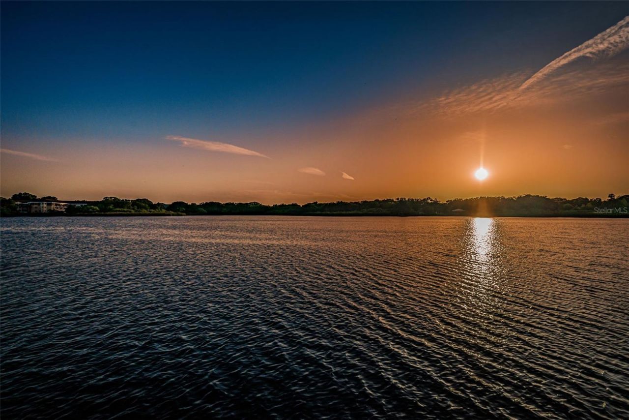 2384 Tahitian Lane, Unit 22, Clearwater, FL 33763 Photo