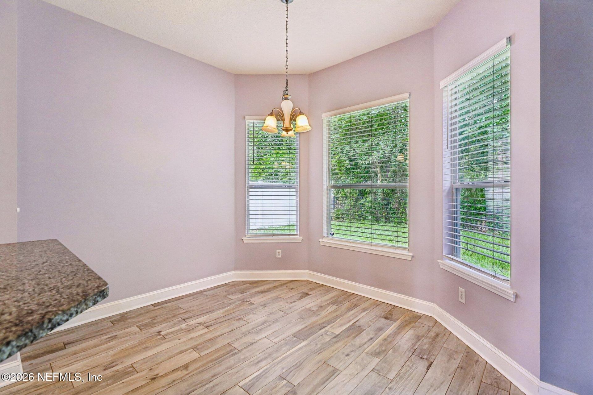 3954 Trail Ridge Road, Middleburg, FL 32068 Photo