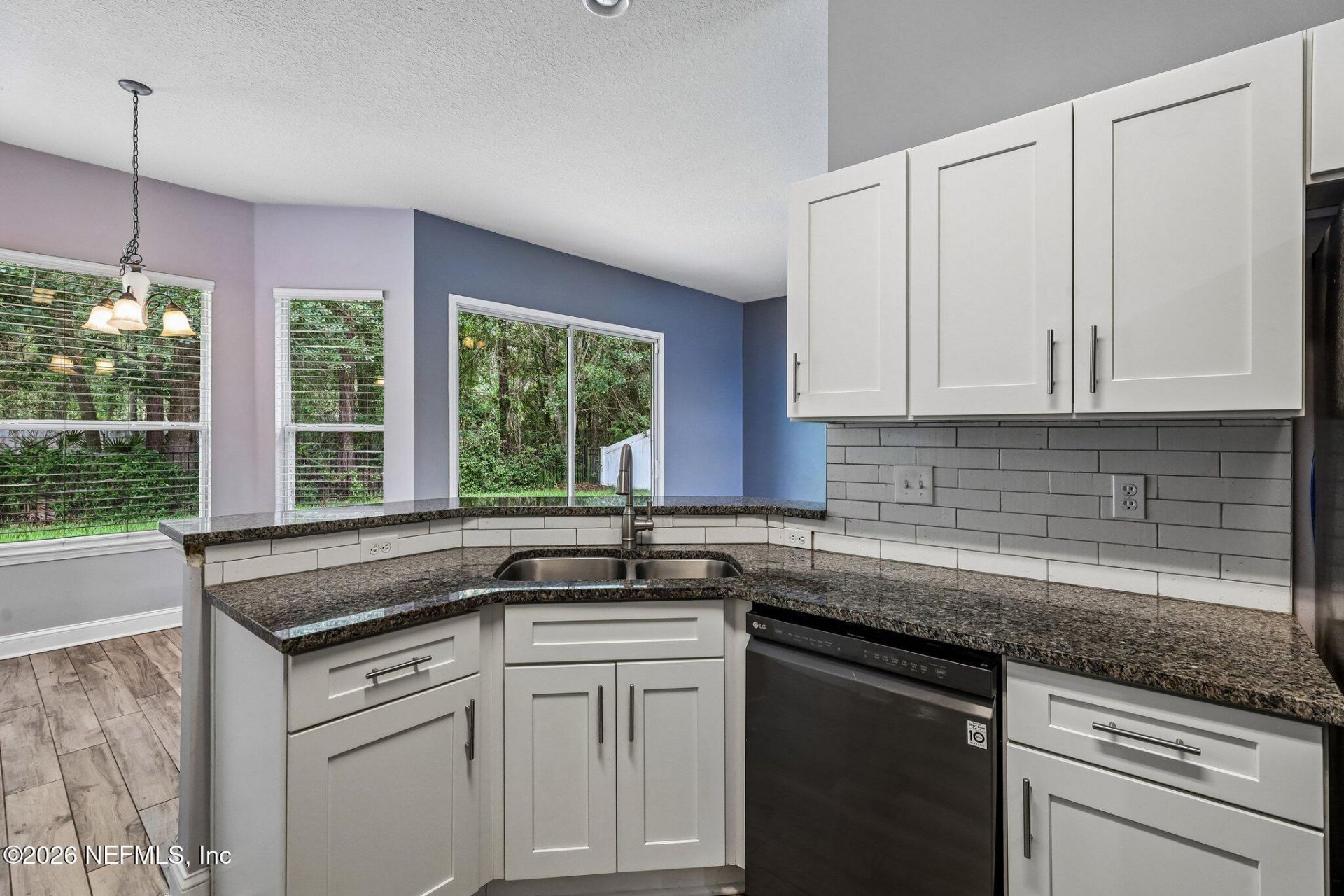 3954 Trail Ridge Road, Middleburg, FL 32068 Photo