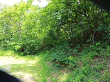 1351 BLACK WALNUT DR , Unit G54, NELLYSFORD, VA 22958