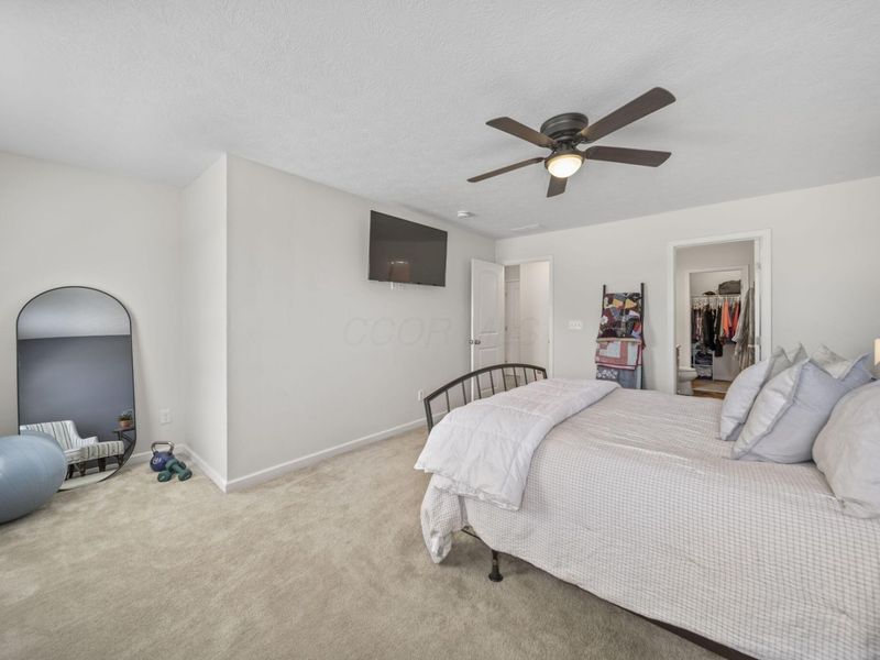 5854 Slane Loop, Westerville, OH 43081 Photo 30