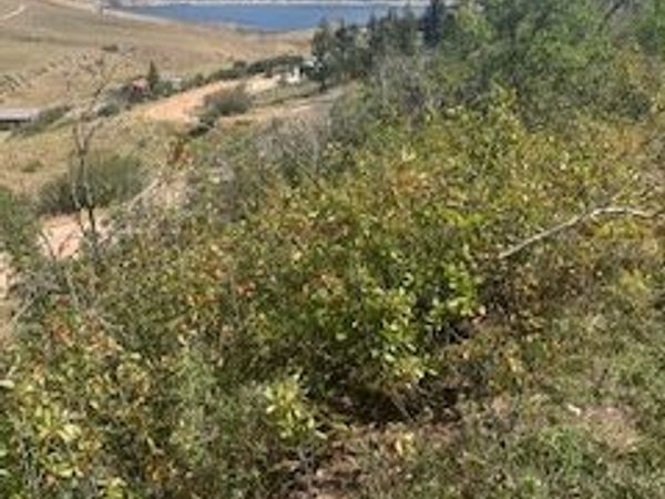 224 E ROCKPORT ASPEN DR , Unit 43, Wanship, UT 84017
