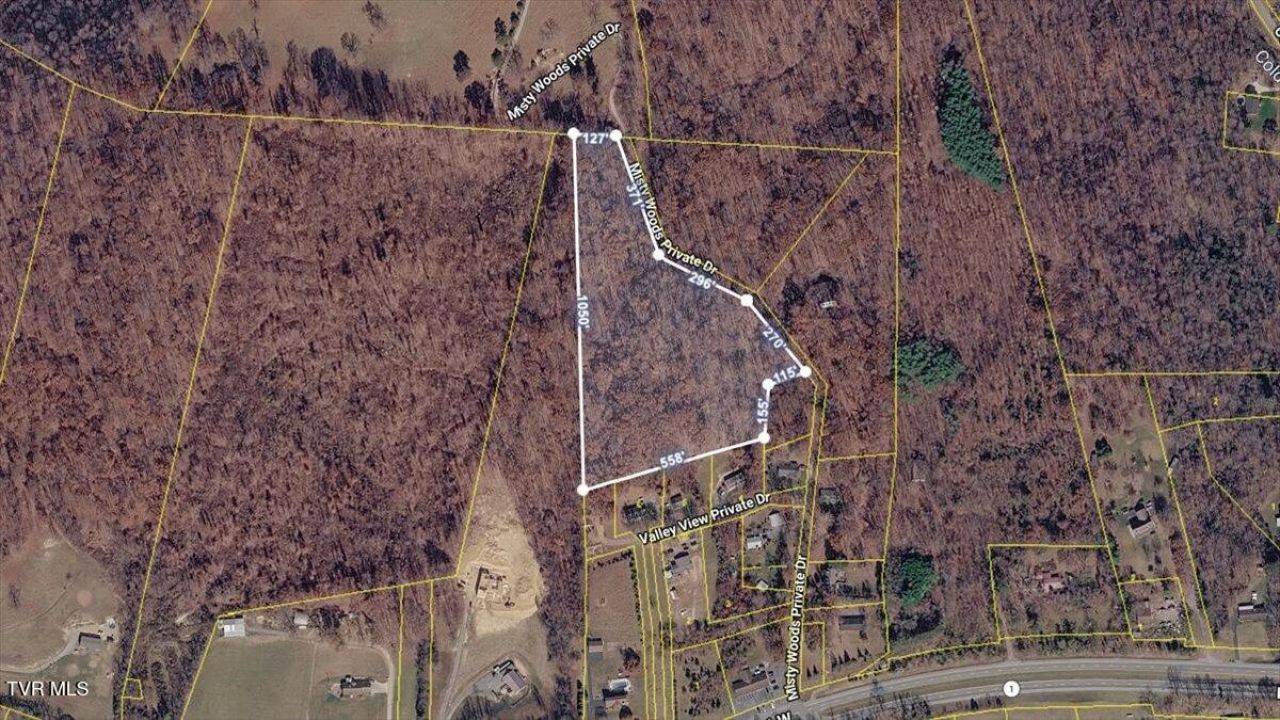 Tbd Misty Woods Private Drive, Blountville, TN 37617 Main Photo