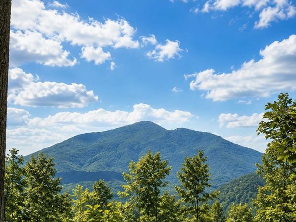 Tbd Heaton Branch Road, Butler, TN 37640