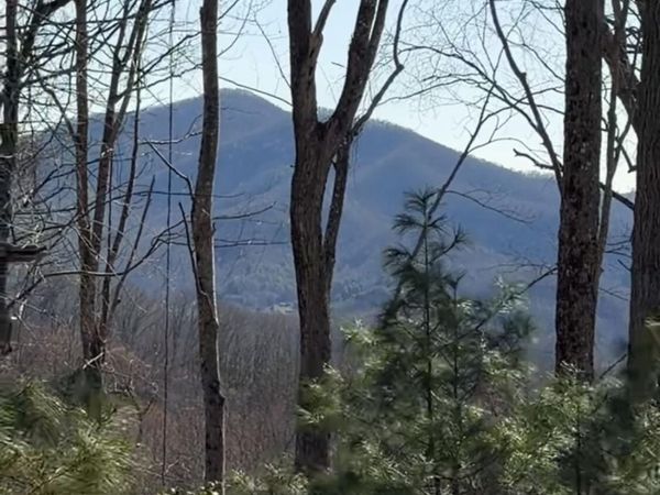 Tbd Heaton Branch Road, Butler, TN 37640