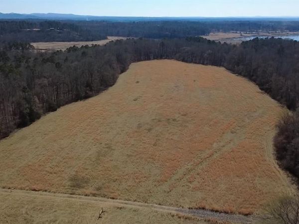 TBD Polk Road 125 , Mena, AR 71953