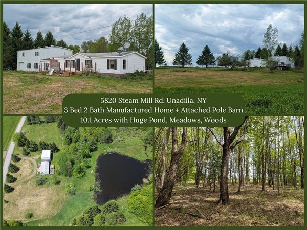 5820 Steam Mill Road , Unadilla, NY 13849
