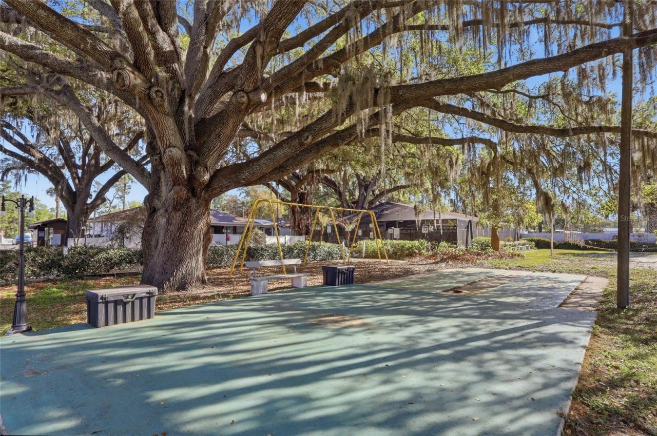 39132 County Road 54 , Unit 2216, Zephyrhills, FL 33542 Photo