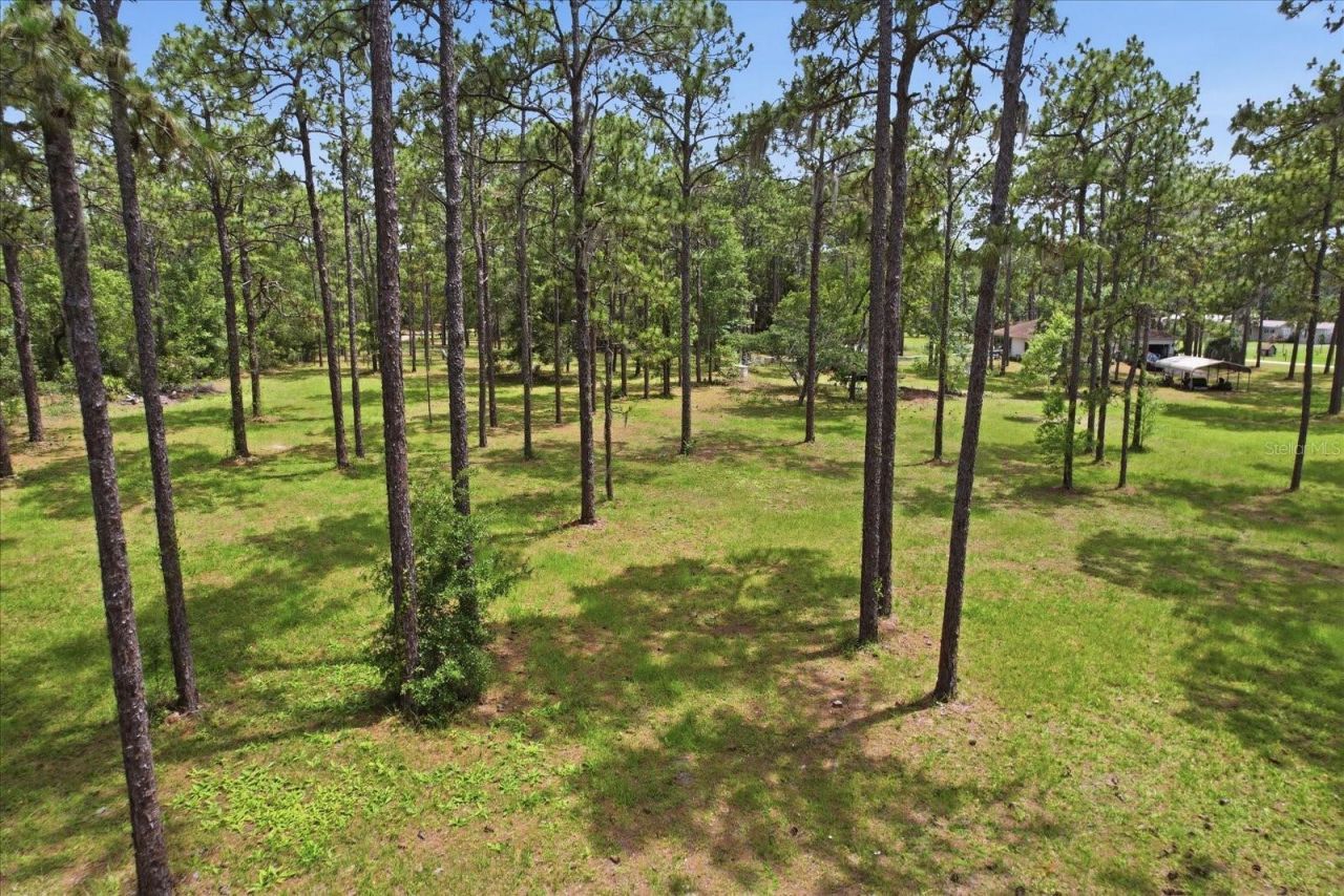 6950 W Hilger Court , Homosassa, FL 34448 Photo