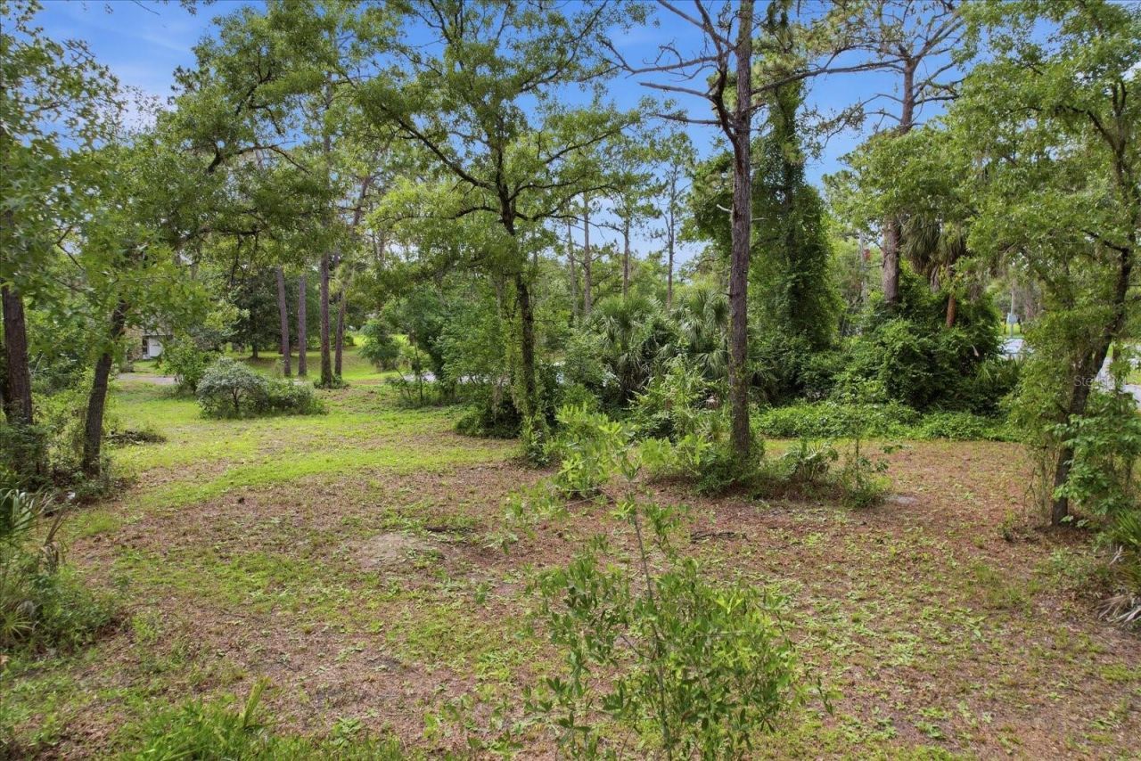 6950 W Hilger Court , Homosassa, FL 34448 Photo