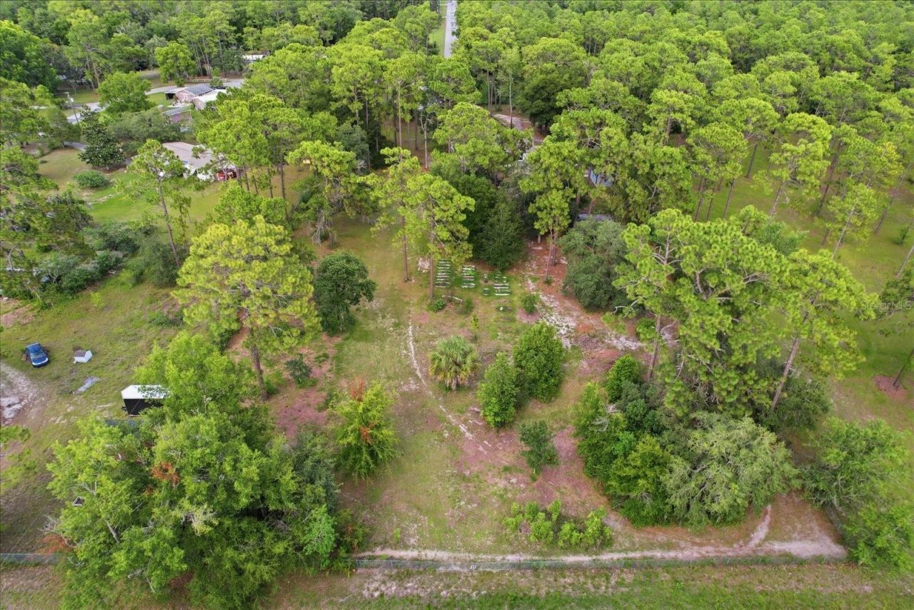 6950 W Hilger Court , Homosassa, FL 34448 Photo