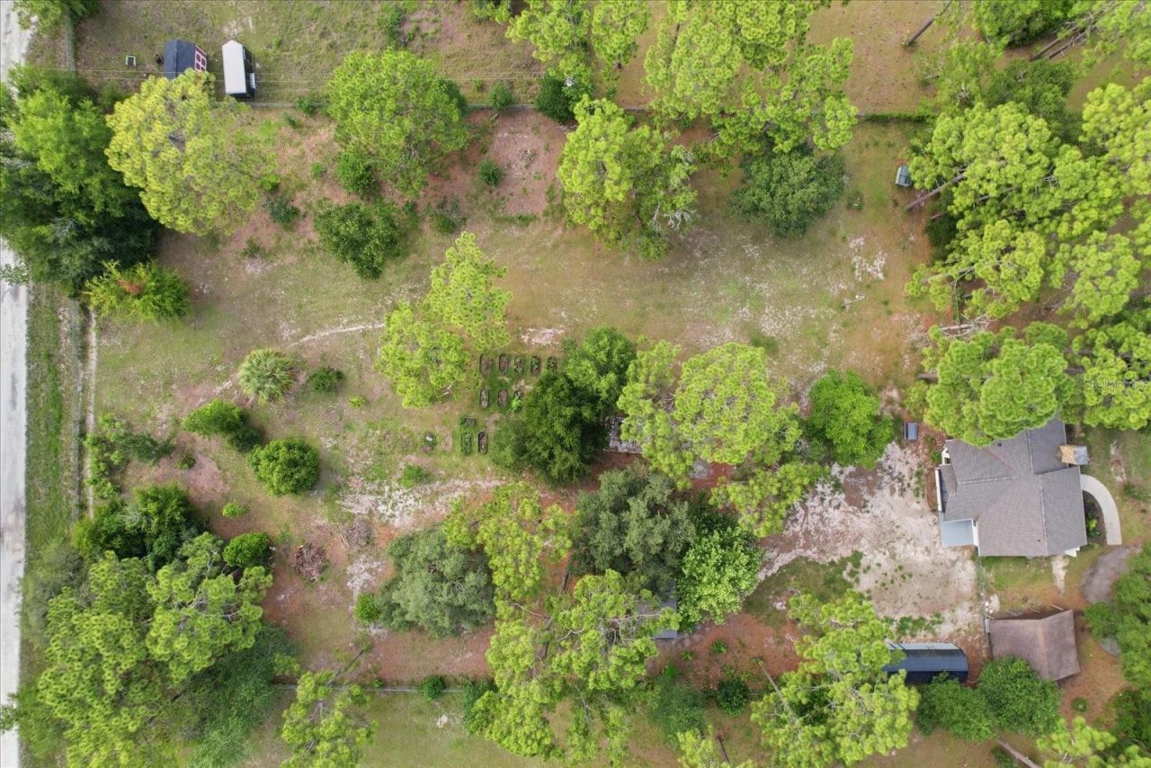 6950 W Hilger Court , Homosassa, FL 34448 Photo