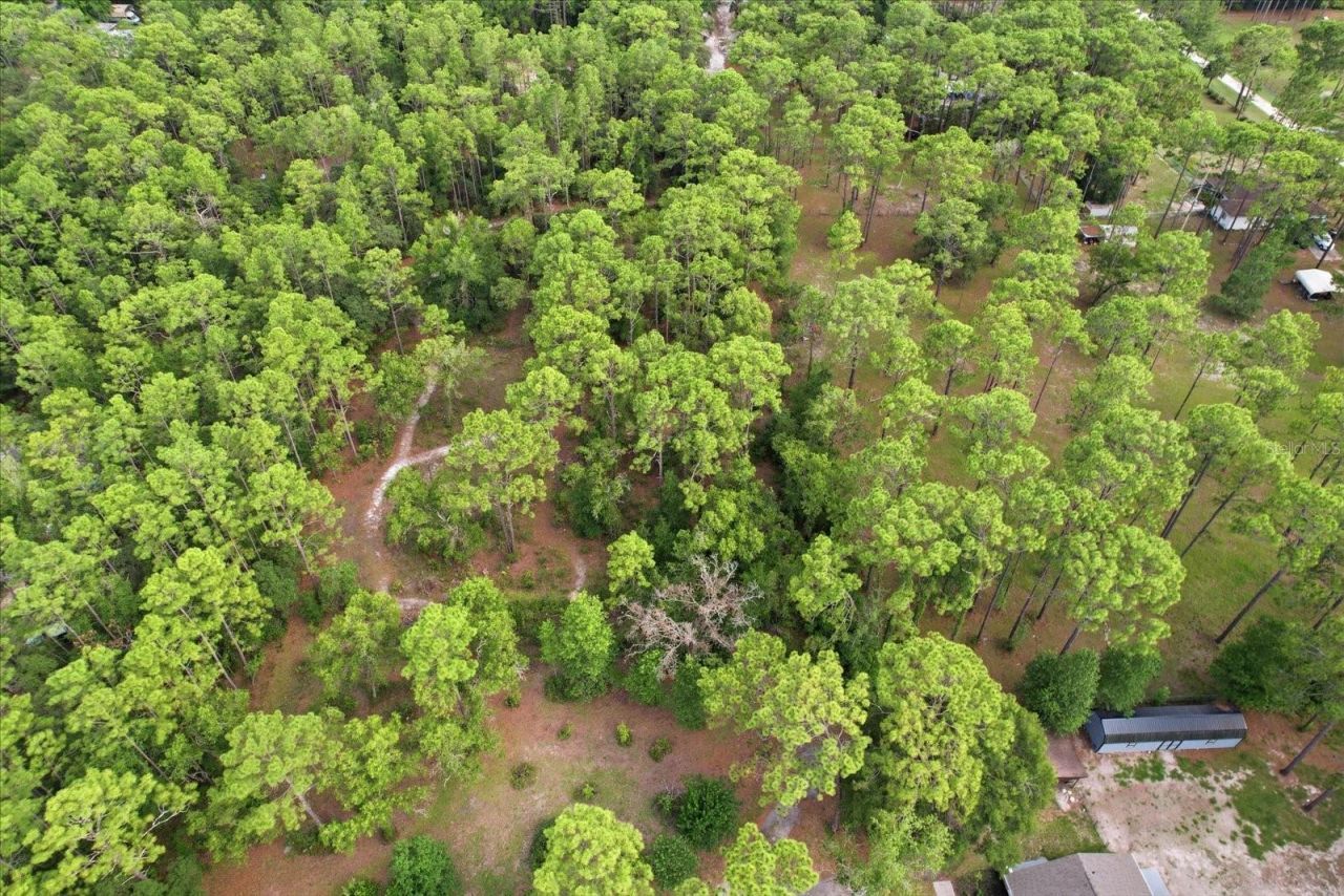 6950 W Hilger Court , Homosassa, FL 34448 Photo