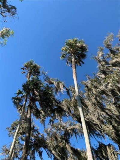 1050 Shady Oaks Ave , Labelle, FL 33935 Photo