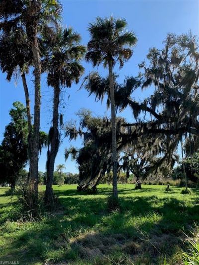 1050 Shady Oaks Ave , Labelle, FL 33935 Photo