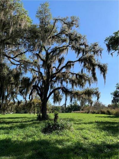 1050 Shady Oaks Ave , Labelle, FL 33935 Photo