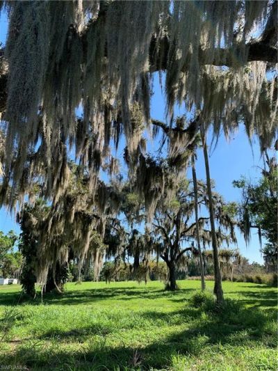 1050 Shady Oaks Ave , Labelle, FL 33935 Photo