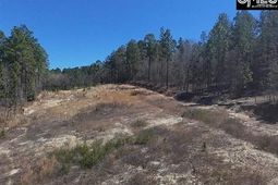 699 Crystal Springs Drive  photo 4