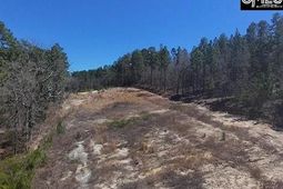 699 Crystal Springs Drive  photo 4