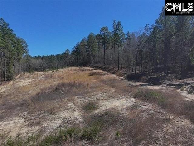 699 Crystal Springs Drive  Photo 4