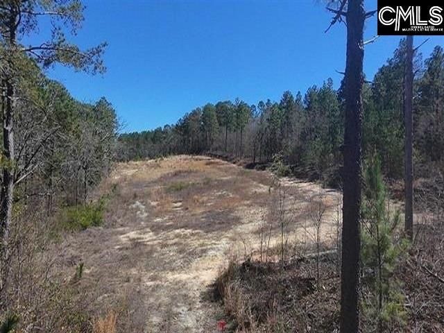 699 Crystal Springs Drive  Photo 5