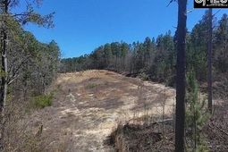 699 Crystal Springs Drive  photo 4