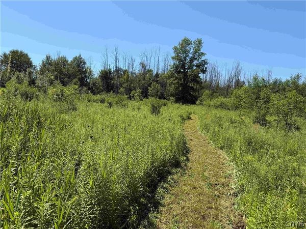 Buttermilk Road, South Dayton, NY 14138