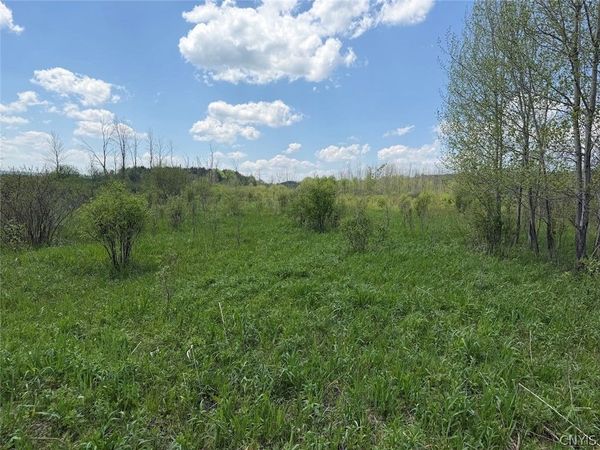 Buttermilk Road , South Dayton, NY 14138