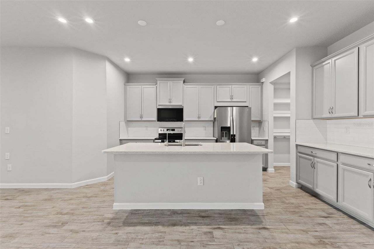 4221 Cloud Hopper Way, Lutz, FL 33559 Photo