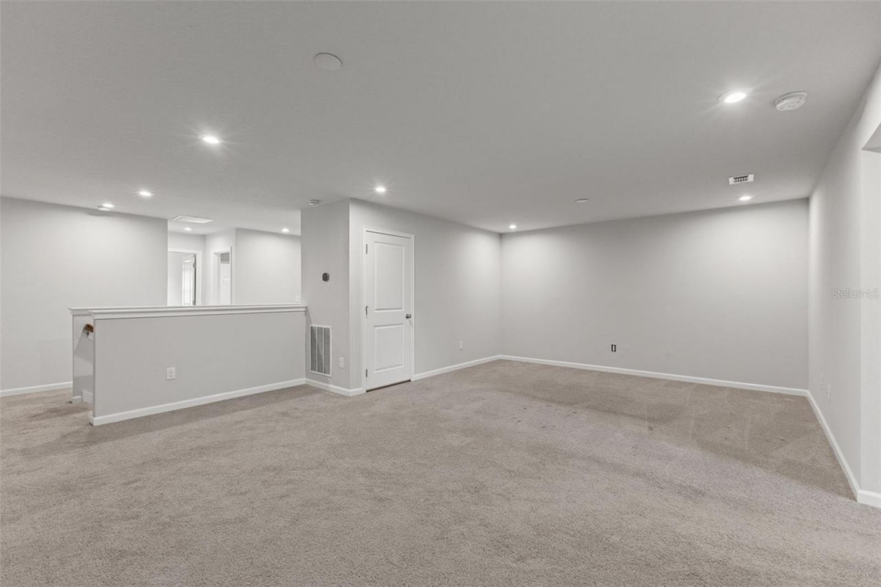 4221 Cloud Hopper Way, Lutz, FL 33559 Photo