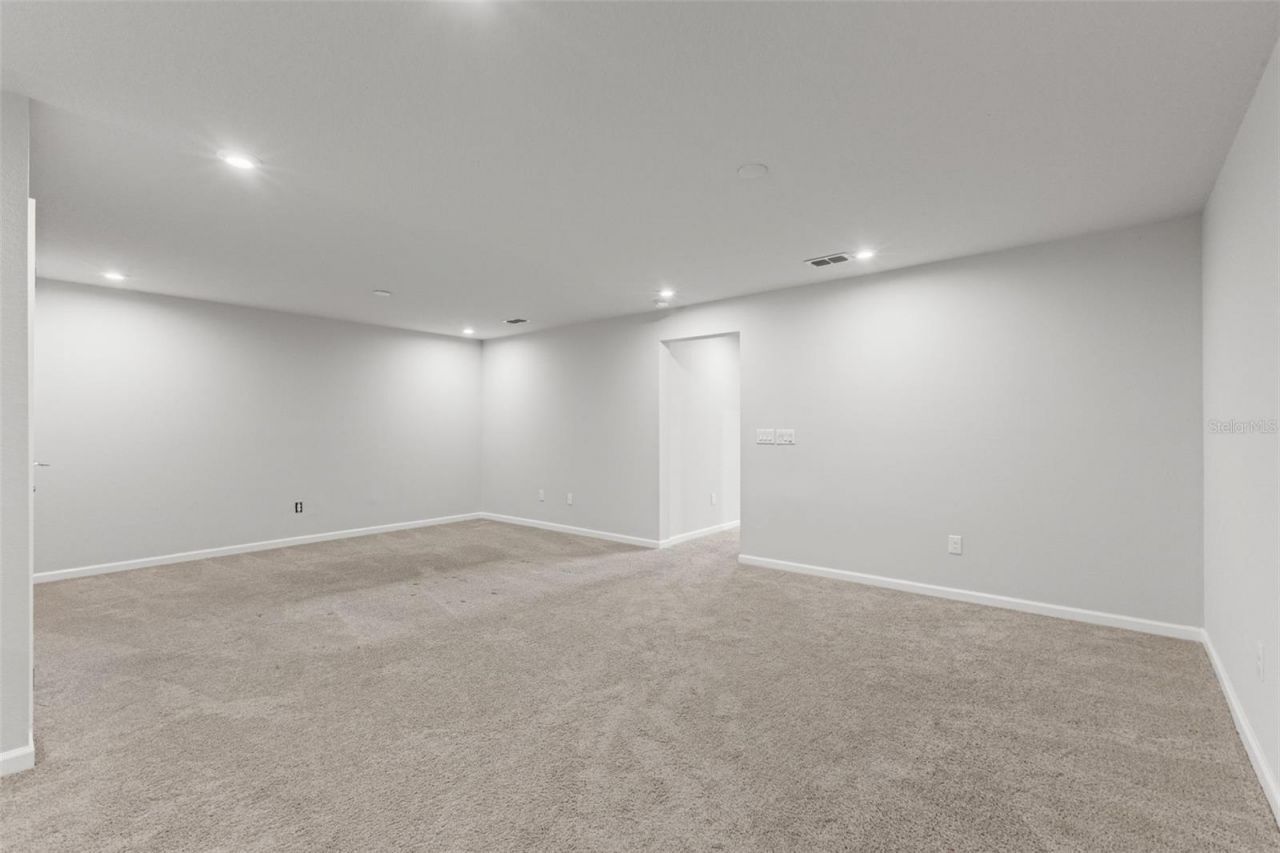 4221 Cloud Hopper Way, Lutz, FL 33559 Photo