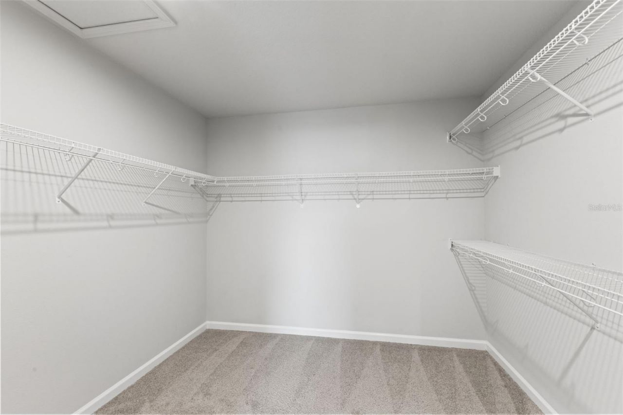 4221 Cloud Hopper Way, Lutz, FL 33559 Photo