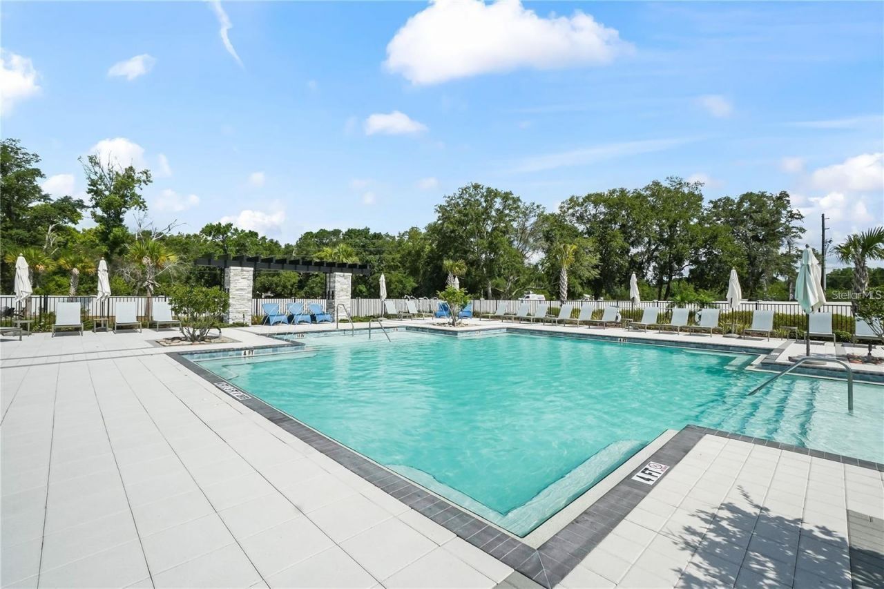 4221 Cloud Hopper Way, Lutz, FL 33559 Photo