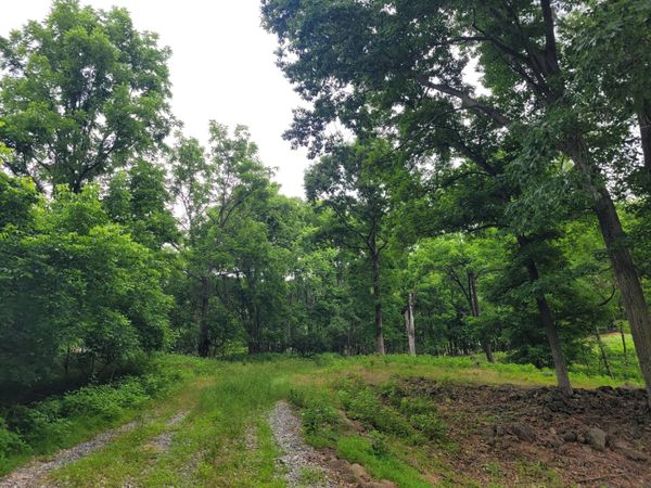 0 Murray Hollow RD , Thaxton, VA 24174