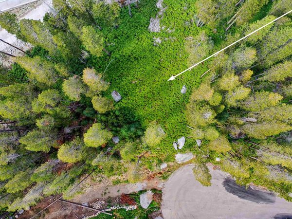 22028 Lotta Crabtree, Soda Springs, CA 95728