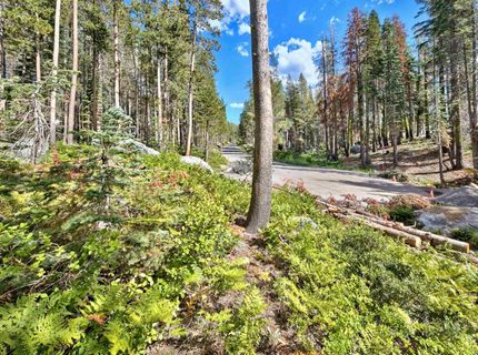 22028 Lotta Crabtree, Soda Springs, CA 95728 Photo
