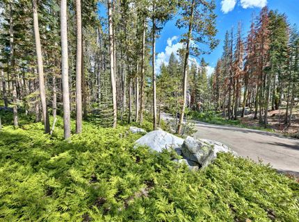 22028 Lotta Crabtree, Soda Springs, CA 95728 Photo