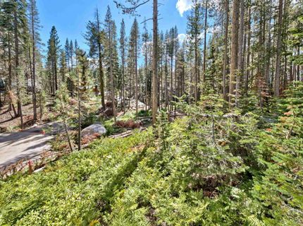 22028 Lotta Crabtree, Soda Springs, CA 95728 Photo