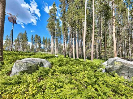 22028 Lotta Crabtree, Soda Springs, CA 95728 Photo