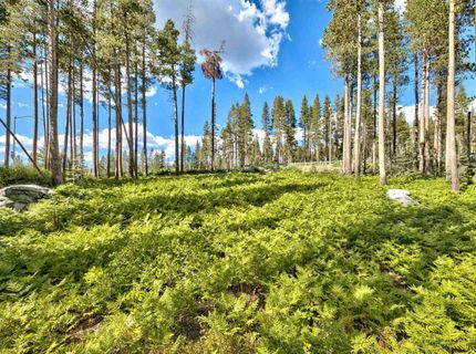 22028 Lotta Crabtree, Soda Springs, CA 95728 Photo