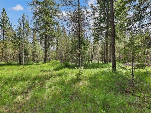 3804 Meadowlark Way, Loon Lake, WA 99148
