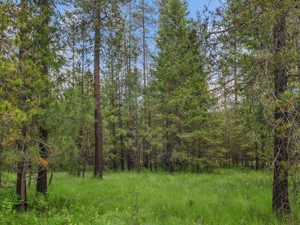 3804 Meadowlark Way, Loon Lake, WA 99148