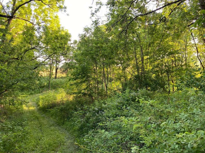 6494 Martinsburg Road , Mount Vernon, OH 43050 Photo 82