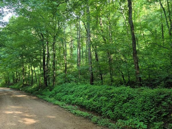 0 Co Rd 462, Lexington, AL 35648