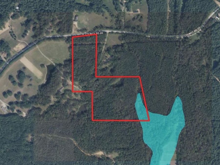 Property Image 5