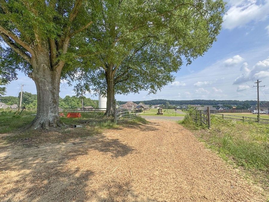 Property Image 31