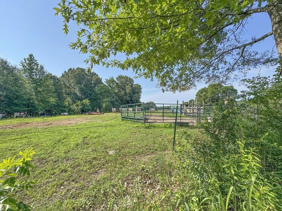 Property Image 34