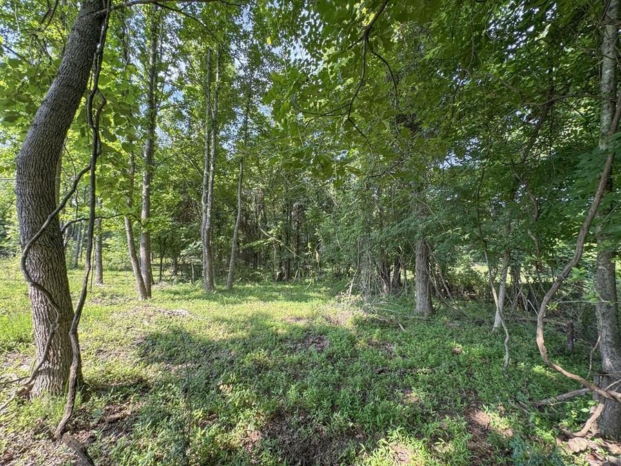 Property Image 47